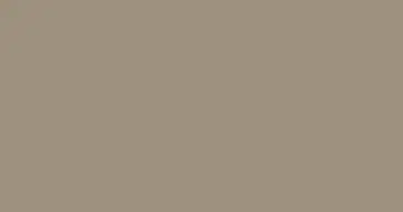 Clay color