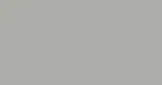 Light Gray color