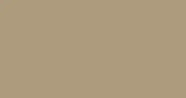 weatherxl tan